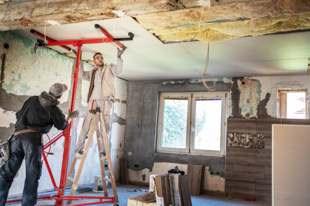 Best Insulation Inspection Services  in Terrell Hills, TX