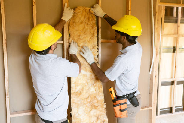 Best Home Insulation Services  in Terrell Hills, TX
