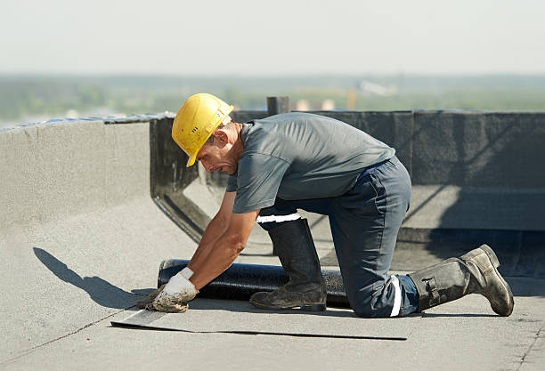 Best Best Insulation Companies  in Terrell Hills, TX