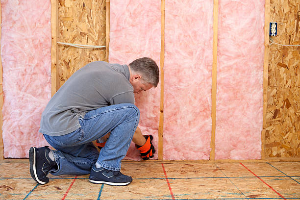 Best Insulation Repair Services  in Terrell Hills, TX