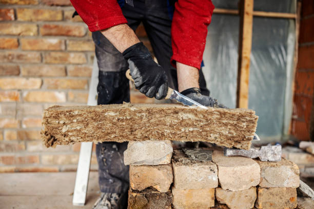 Best Insulation Contractor Near Me  in Terrell Hills, TX
