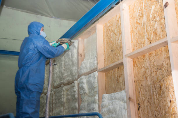 Best Professional Insulation Contractor  in Terrell Hills, TX
