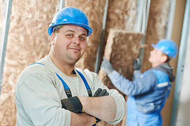 Best Insulation Replacement Services  in Terrell Hills, TX