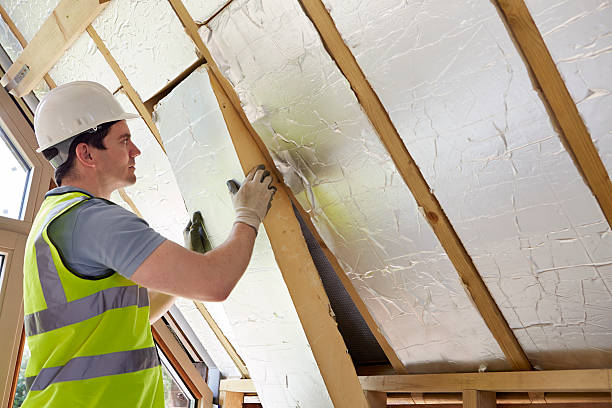 Best Attic Insulation Installation  in Terrell Hills, TX