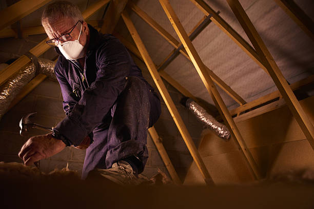 Best Fiberglass Insulation  in Terrell Hills, TX