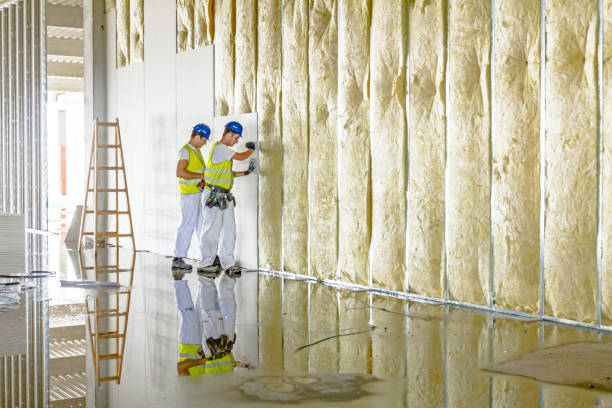 Best Insulation Repair Services  in Terrell Hills, TX